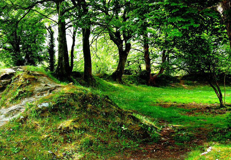 Ballyallaban Earthen Ringfort, Ireland